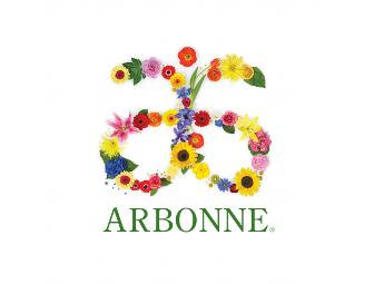 Arbonne Fit Essentials