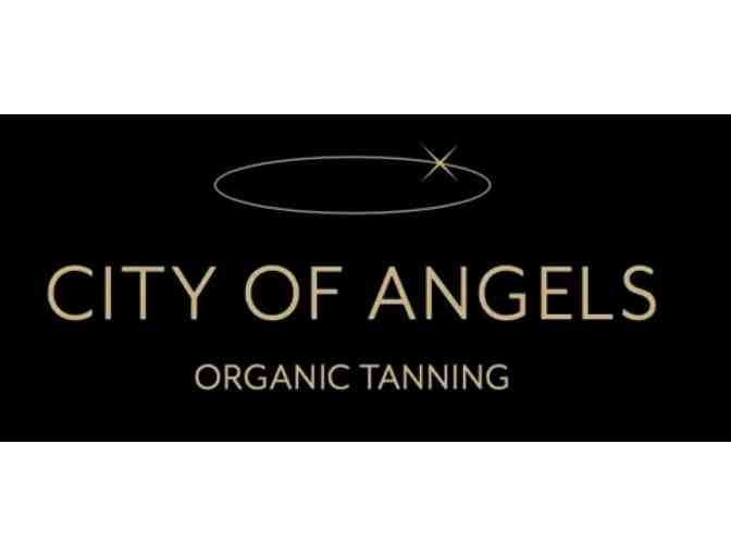 City of Angels Organic Tanning: One In-Studio Organic Spray Tan - Photo 1