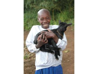 Provide One Goat for a Rwandan Family