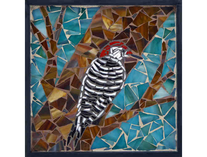 Red-bellied Woodpecker by Kathleen M. Stewart