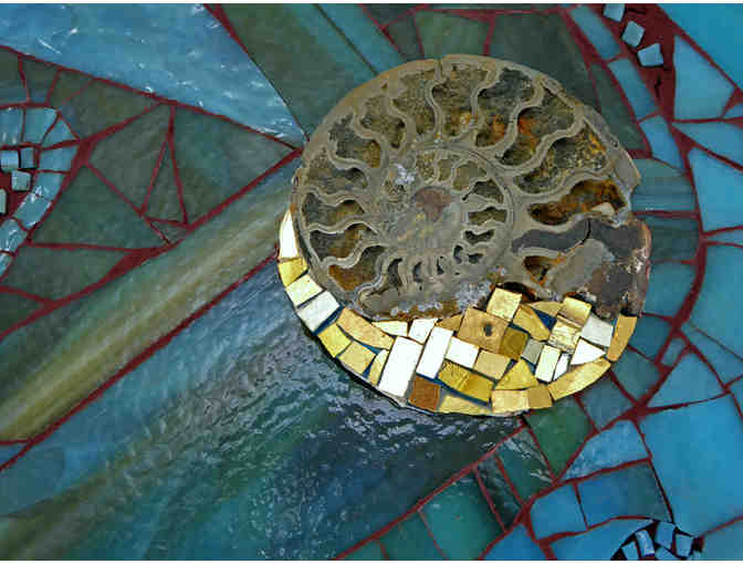 Ammon's Horns by Anne Marie Price