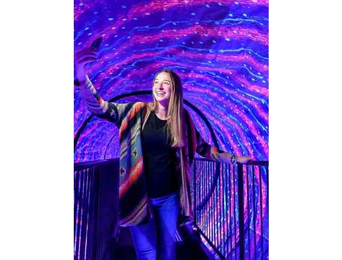 Experience the Unbelievable at the Boston Museum of Illusions