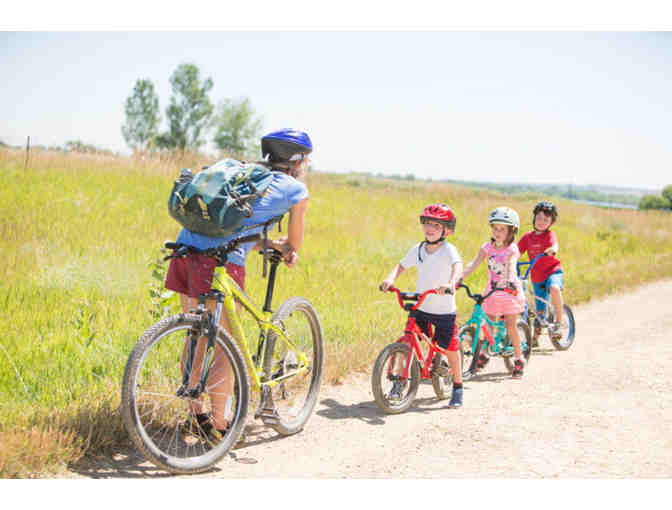 Avid4 Adventure Summer Camp