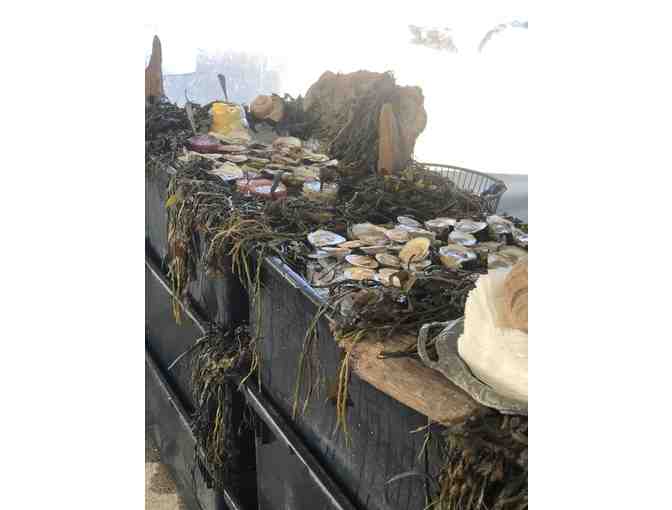 Oysters of the Month Club - Photo 1