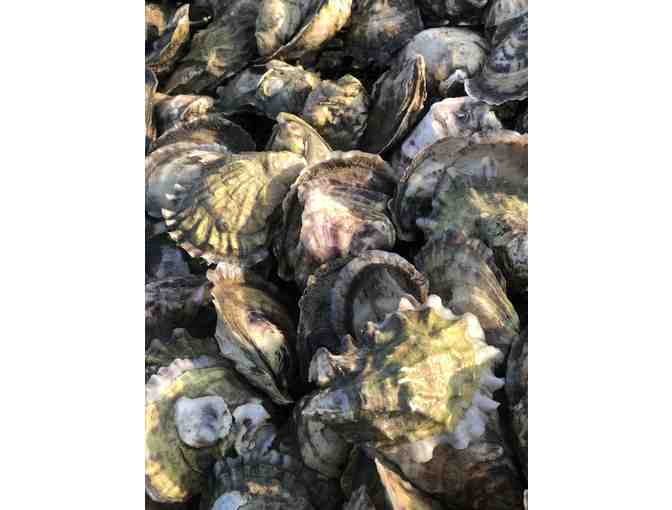 Oysters of the Month Club - Photo 4