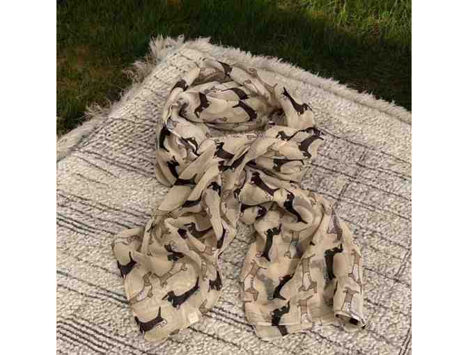 Beige Fashion Dachshund Scarf - Lightweight - Approx 68" x 32" - Photo 1