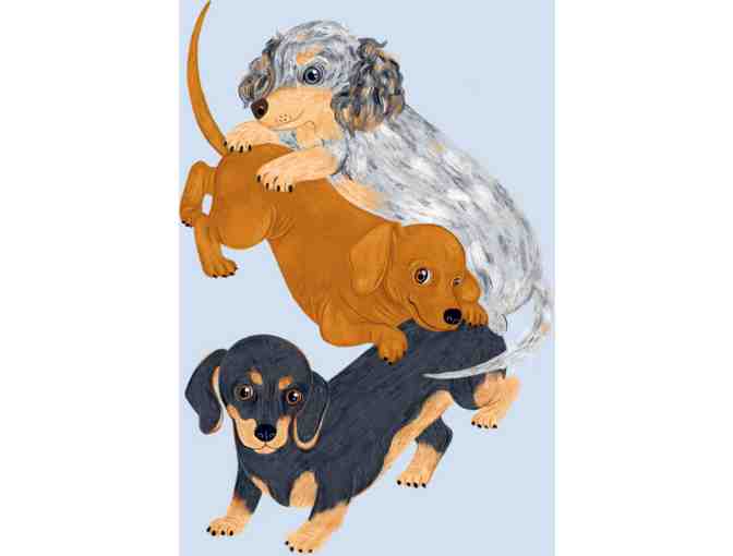 Dachshunds: What Dachshunds Want: In Their Own Words, Woofs, and Wags