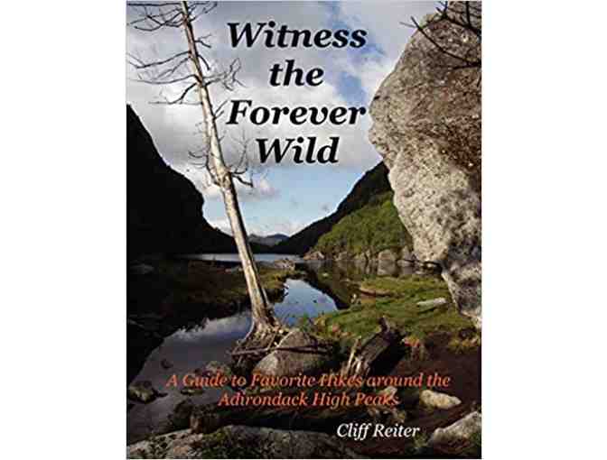 Witness the Forever Wild by Cliff Reiter