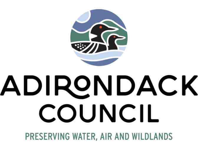 Adirondack Park Laminated Map & Loon Tankard Set