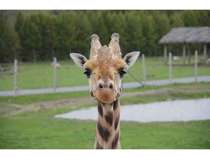 Parc Safari Adventure