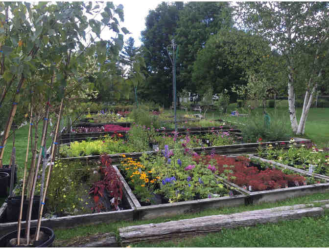 East Branch Organics - $40 Gift Card