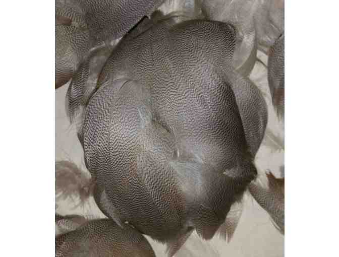 MALLARD FLY TYING FEATHERS