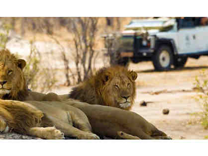 Game Drives, 7-Night Adventure in Cape Town & Private Game Reserve for 2