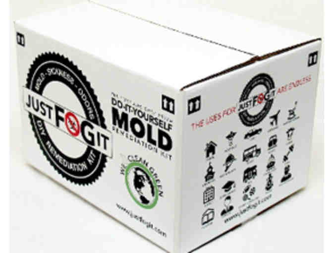 Basic Plus Mold 100 Remediation Kit - Photo 1