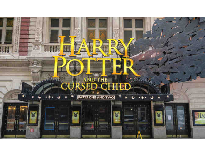 HARRY POTTER VIP ON BROADWAY