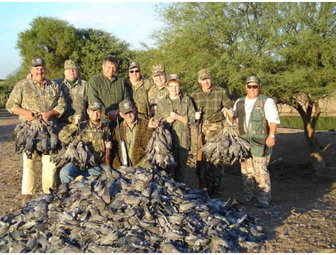 Dove Hunting, 5-Night All-Inclusive Stay for 6 - Photo 2
