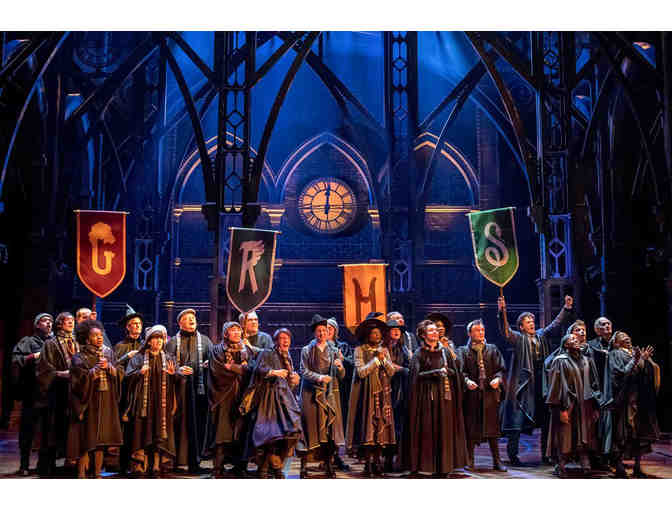 Mesmerizing Magic and Muggles on Broadway New York, New York - Photo 1