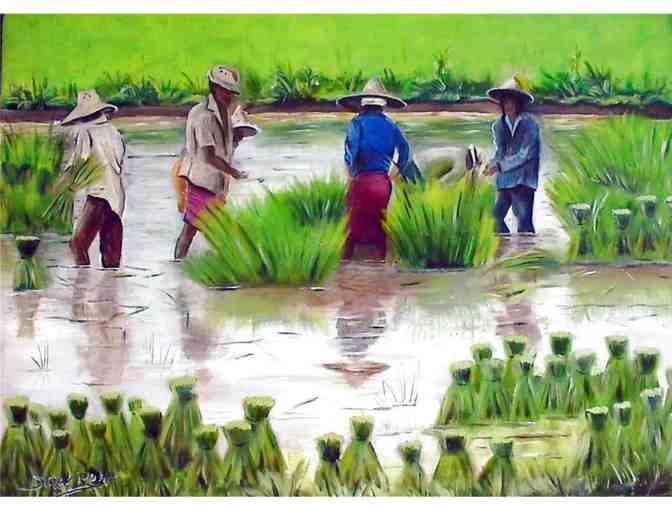 'Rice Planting Central Thailand' by Artist Derek Rutt