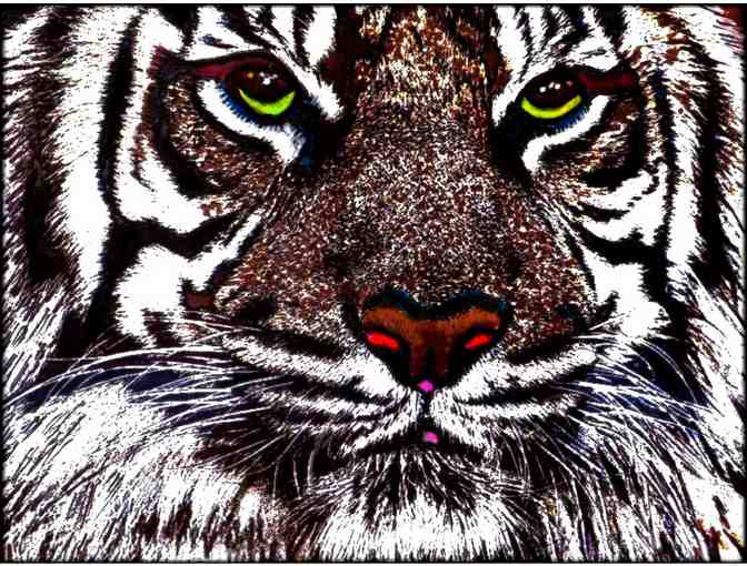 !2 SIDED ART DELUXE CUSHION CASE(S) + A3 GICLEE PRINT: 'WHITE BENGAL' BY WBK