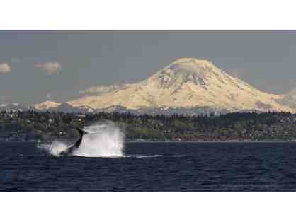 BAINBRIDGE WASHINGTON AIR BNB