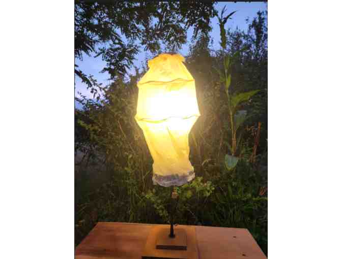 'Spiral Dancer' Table Lamp by Betsy Roberts