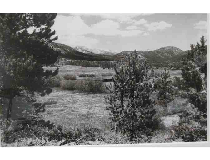 Framed Photo of Hope Valley Meadow in Alpine County