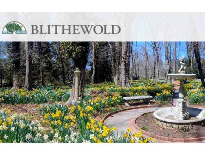 Blithewood Mansion, Gardens and Arboretum and More - Photo 1