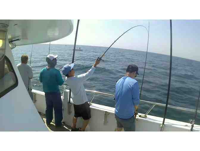 Fishing Or Sea Life Watch - Photo 1