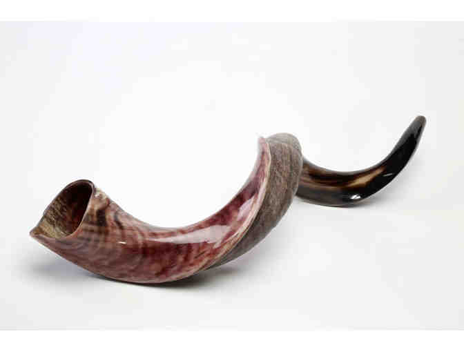 1/2 Hour Shofar Blowing Lesson with Jenny Longman - Photo 1