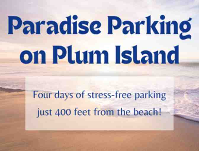 Paradise Parking on Plum Island! - Photo 1