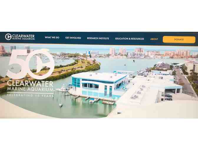 Clearwater Marine Aquarium - Photo 1