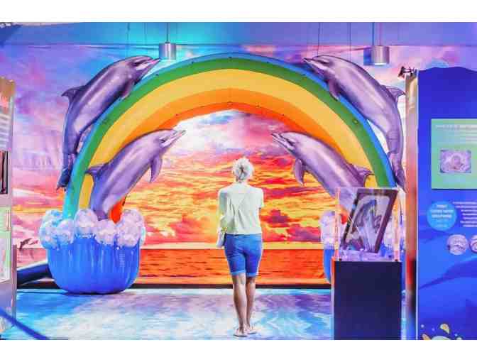 Clearwater Marine Aquarium - Photo 2