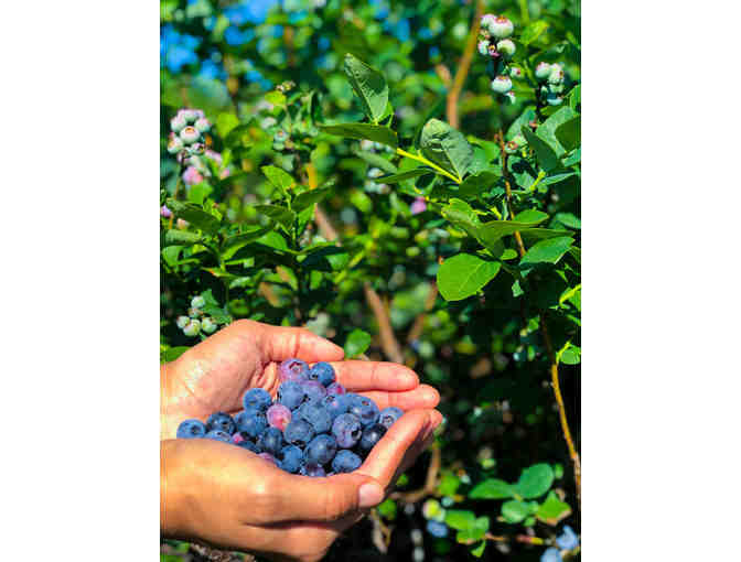 Keel Farms Tour and Taste - Plant City FL