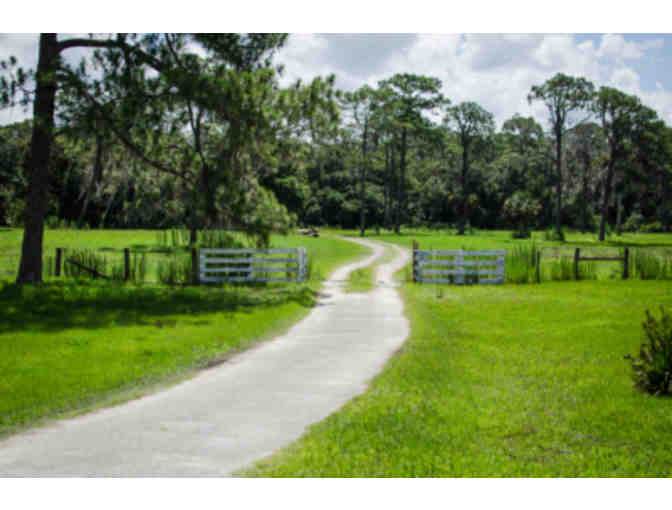 Babcock Ranch Eco Tours