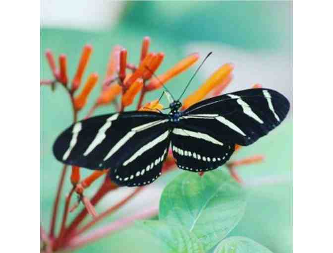 Tree Hill Nature Center - One Year Family Membership - Jacksonville