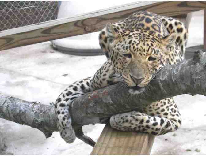 Catty Shack Ranch Wildlife Sanctuary - Guest Passes for 2