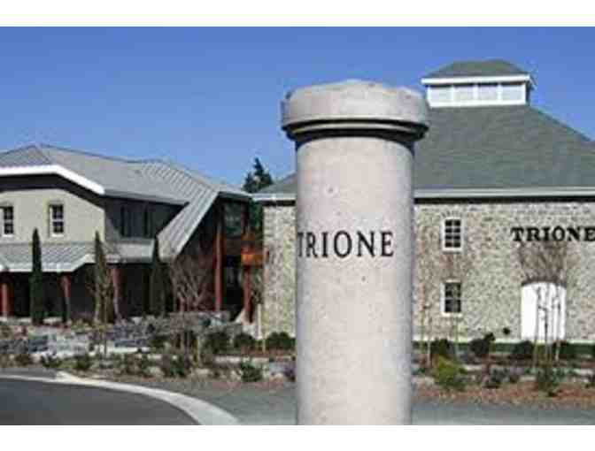 VIP Tasting and Tour for 6 at Trione Vineyards and Winery