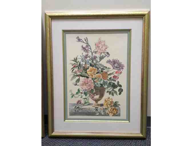 Botanical Prints