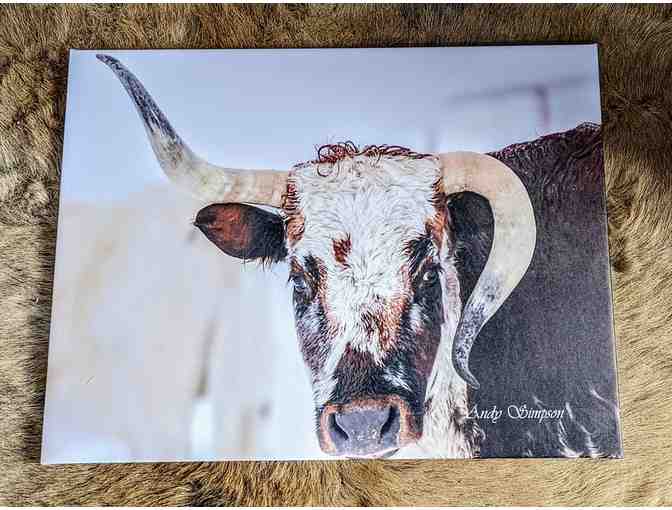 Cow Photo Canvas