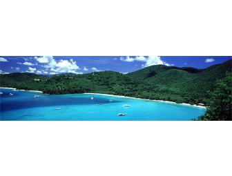 One week stay for 4 at Maho Bay Camps or Estate Concordia Preserve, St. John, USVI
