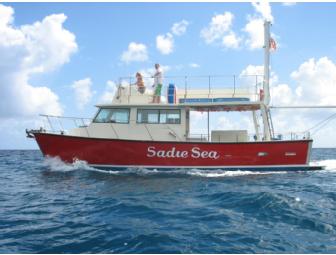 Sadie Sea Sunset Snorkle Cruise