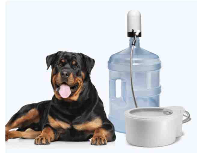 Always Full Pet Water Bowl