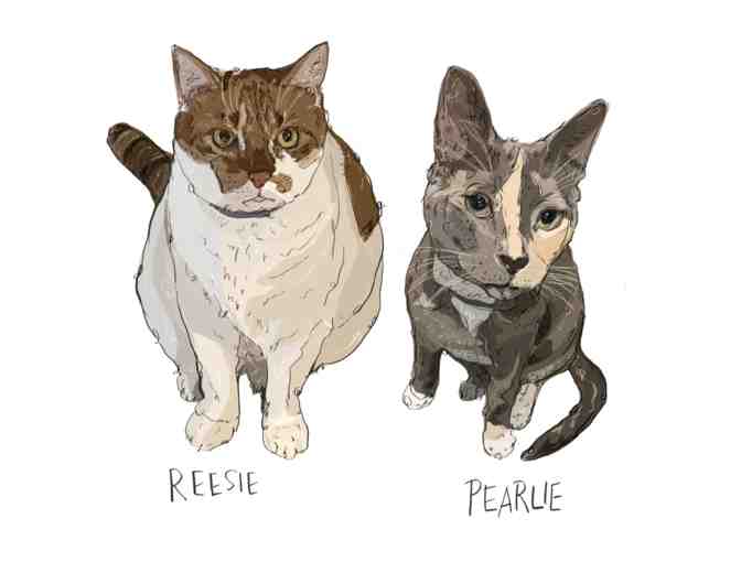 Custom Pet Drawing from Bitch Sketch