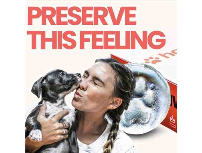 Hot Paws Glass Pawprint Kit from Hot Sand