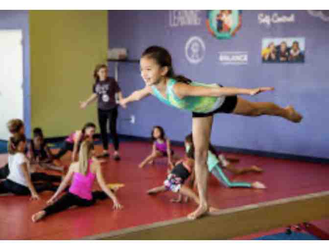 The Little Gym Woburn - one month of unlimited classes and Membership