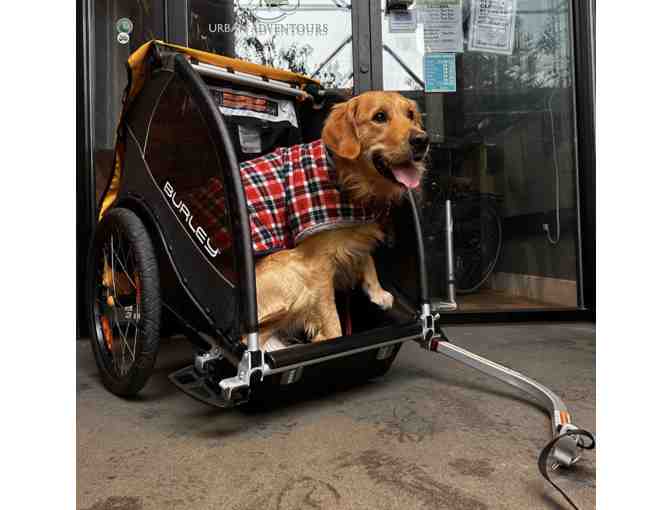 Urban AdvenTours Bicyle Tour or Hybrid Rental for 2