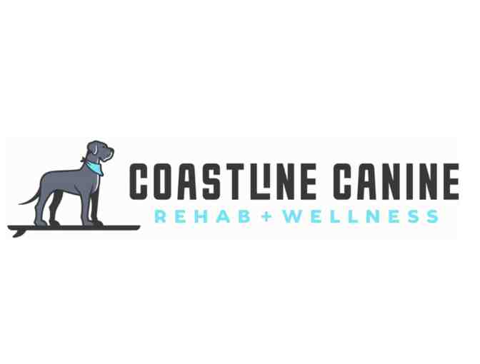Coastline Canine - in home rehabilitation evaluation for your pup