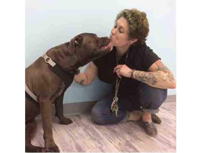 Behavior Training Session with Kerri Hark