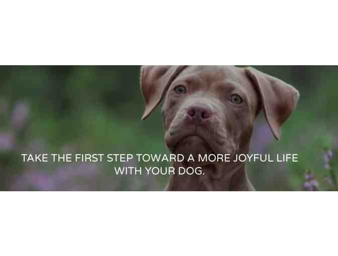 Pride and Joy Dog Training Session and Goodie Basket