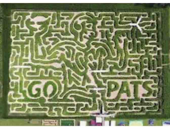 Davis Farmland Mega Maze - four passes